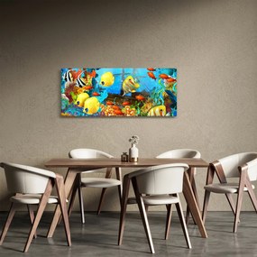 Kép - színes korallzátony (120x50 cm)