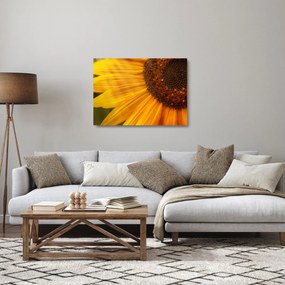 Üveg kép - Napraforgók (70x50 cm)