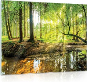 Üvegfestmény Üveg Erdő Tájkép Nappali 80x60