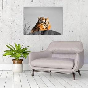 Kép - Tigris és a kölyke, fekete-fehér változat (üvegen) (70x50 cm)