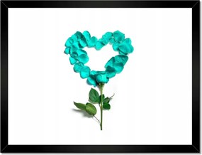 Poszter keretben 40x30 Türkiz rózsa