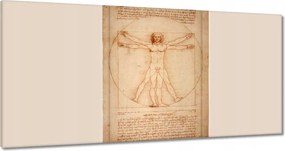 Festmények 180x90 A vitruviusi ember