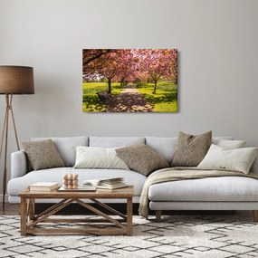 Kép - cseresznye ültetvény (90x60 cm)