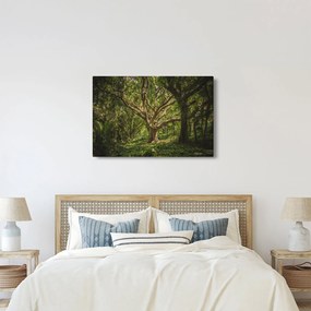 Fa képe (90x60 cm)