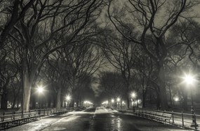 Poszter 91,5x60cm Éjszakai kilátás a Central Parkon át vezető útra, Assaf Frank