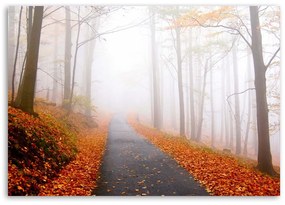 Gario Vászonkép Arany osz a parkban Méret: 120 x 80 cm