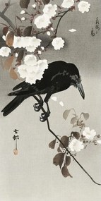 Művészeti nyomat Crow And Cherry Blossom, Ohara Koson