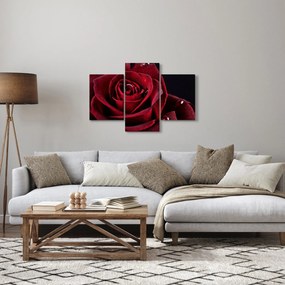 Kép - Vörös rózsa (90x60 cm)