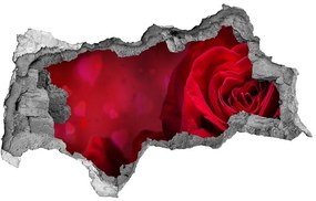 3d-s lyukat fali matrica Vörös rózsa szív nd-b-75608886