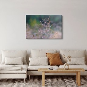 Kép - Fű részlet (90x60 cm)