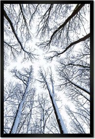 Poszterek keretben 40x60 Fa Kilátás