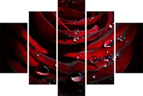 Kép - Rózsa részlete (150x105 cm)