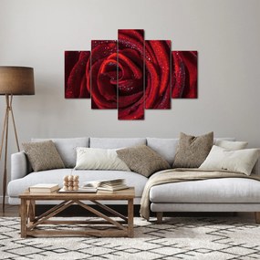 Kép - Vörös rózsa harmatcseppekkel (150x105 cm)