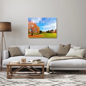 Kép - Őszi táj (üvegen) (70x50 cm)