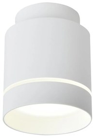 LED Mennyezeti lámpa TUBA LED/12W/230V