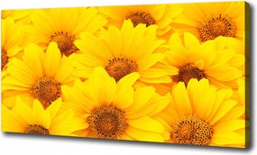 Canvas falikép Napraforgók 100x70 cm