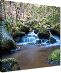 Vászonképek 40x40 Kaszkádok