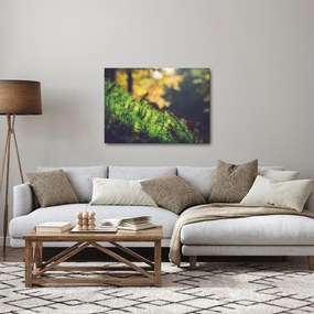 A moha képe gombával (70x50 cm)