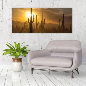 Kép - Saguaro kaktuszok (120x50 cm)