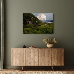 Holdas tájkép (90x60 cm)
