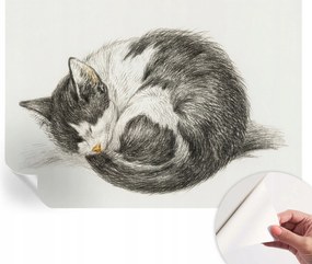 Öntapadós Dekoratív Fotótapéta Hálószobába Bájos cica 208x146 cm