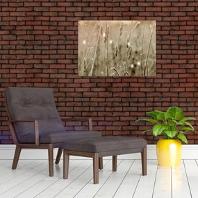 Üveg kép - Harmonikus rét (70x50 cm)