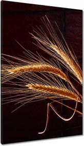 Vászonkép 80x120 Kalászok Gabona Natura Bio