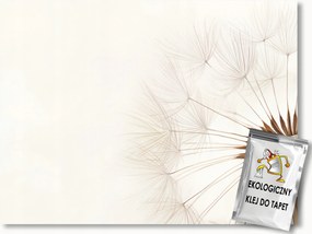 Fotótapéta Flizelina Természet Virág Pitypang Pehely Makro Boho 150x105 ragasztó