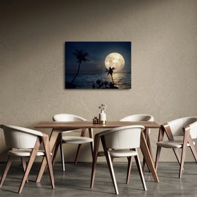 Kép - Strand telihold alatt (70x50 cm)