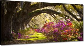 Vászonkép 115x55 Virágok a parkban