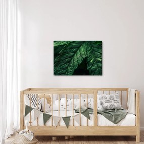 Kép - A lap részletei (70x50 cm)