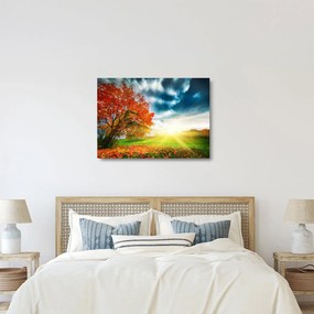 Napsütésben fürdő táj képe (üvegen) (70x50 cm)