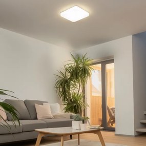 Brilagi - LED mennyezeti lámpatest PLAIN LED/24W/230V 3000K