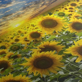 Kép - Napraforgók naplementében (120x50 cm)