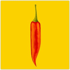 Poszterek 30x30 Piros chili paprika