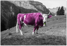 Poszterek 185x125 Lila tehén Emilka