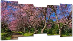 Vászonkép 150x80 Virágzó cseresznye