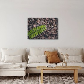 Zöld növények képe (üvegen) (70x50 cm)