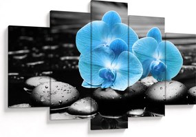 Kép - Kék orchidea (150x105 cm)