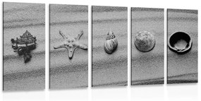 5-részes kép tengeri kagylókból a homok tengerparton fekete fehérben