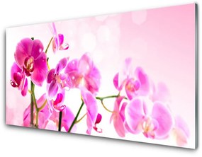 Akrilüveg fotó Virág növény természet 125x50 cm