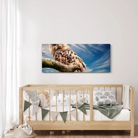 Kép - Bagoly (120x50 cm)
