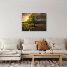 Kép - Életciklus (70x50 cm)