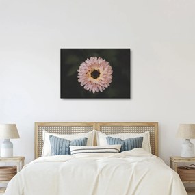 Narancsságra virág képe (üvegen) (70x50 cm)