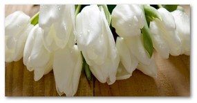 Akrilkép Fehér tulipán oah-104686883