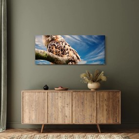 Kép - Bagoly (120x50 cm)