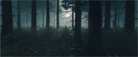 Kép - Páfrányok a holdfényben (120x50 cm)