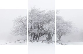 Kép - fehér tél (90x60 cm)