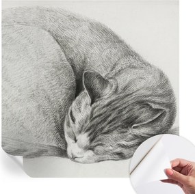 Design fali fotótapéta öntapadós összecsukható macska 250x250 cm