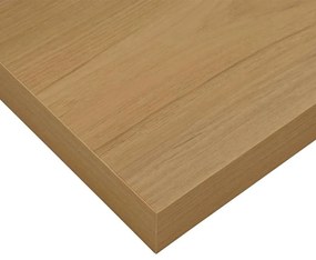 vidaXL Falpolc Falra szerelhető tárolóval Barna 50 x 23 x 4 cm Faanyag